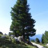 Alpen