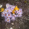 Natur